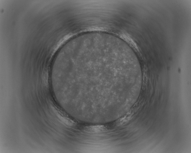 X0000062630108200601181730