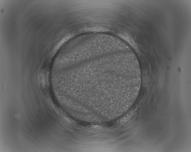 X0000062630111200601181729