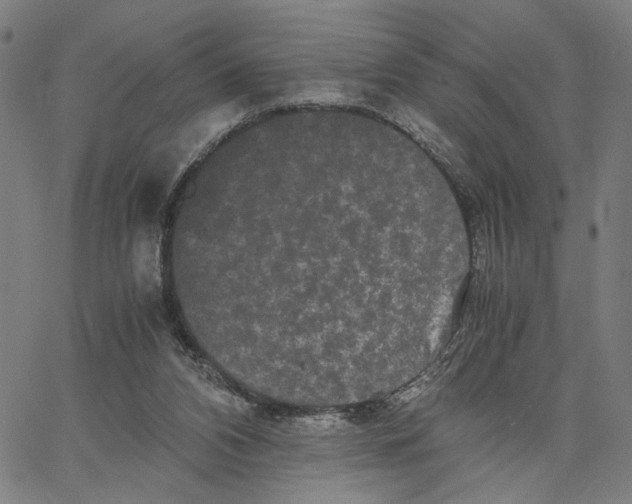 X0000062630112200601181729