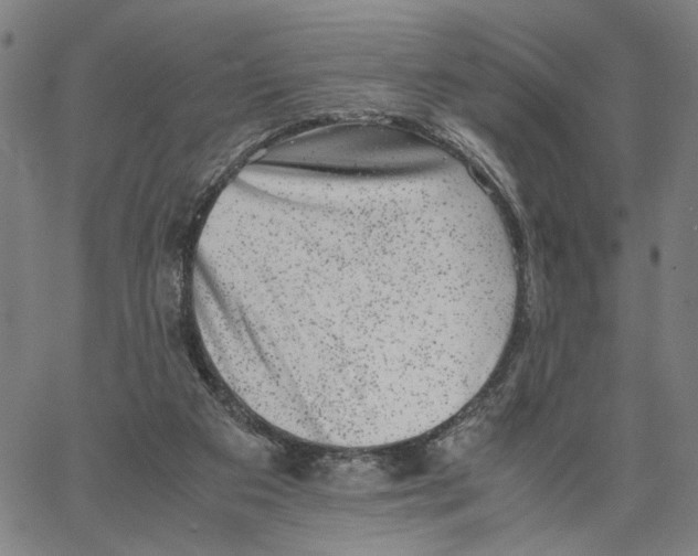 X0000062630113200601181729