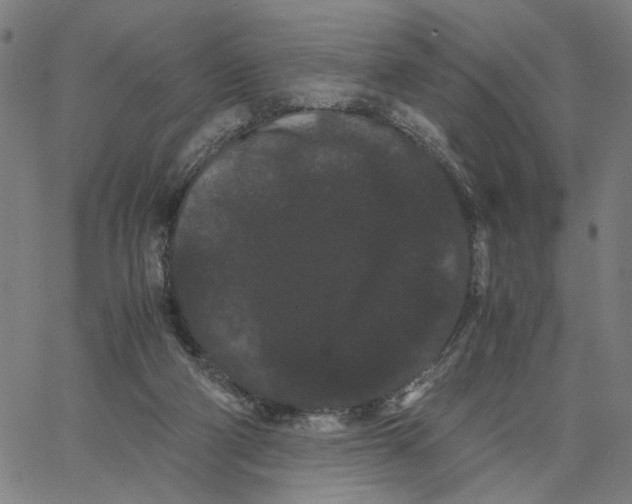 X0000062630114200601181729