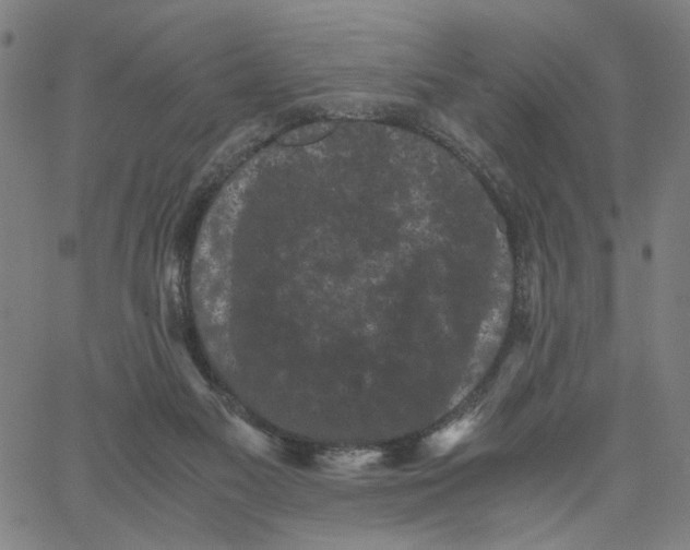 X0000062630117200601181729