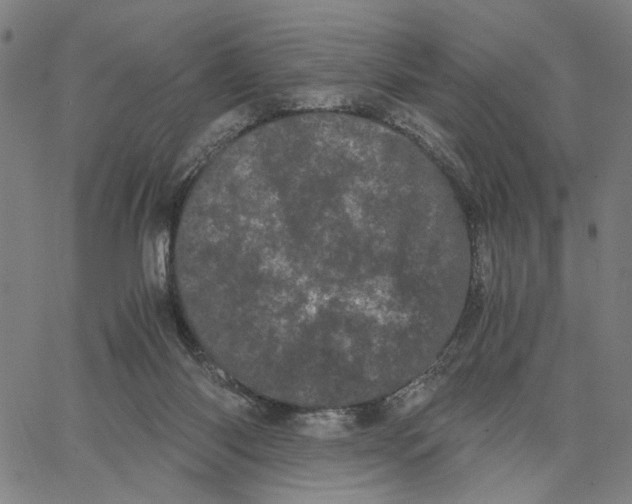 X0000062630118200601181729