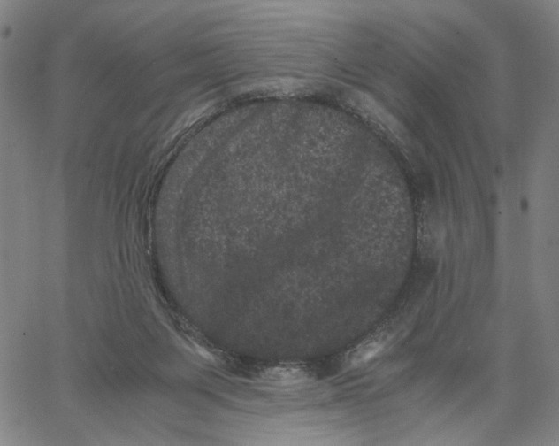 X0000062630119200601181729