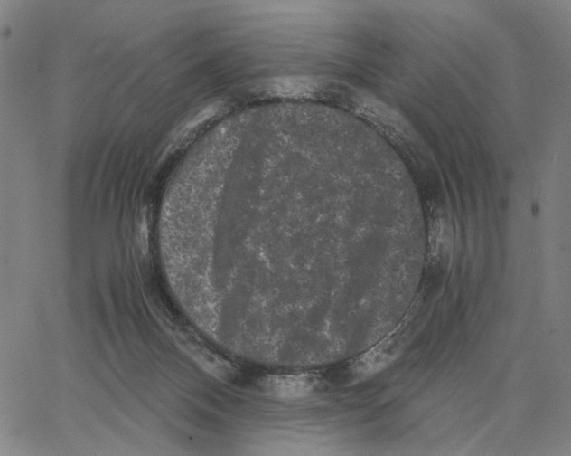 X0000062630120200601181729