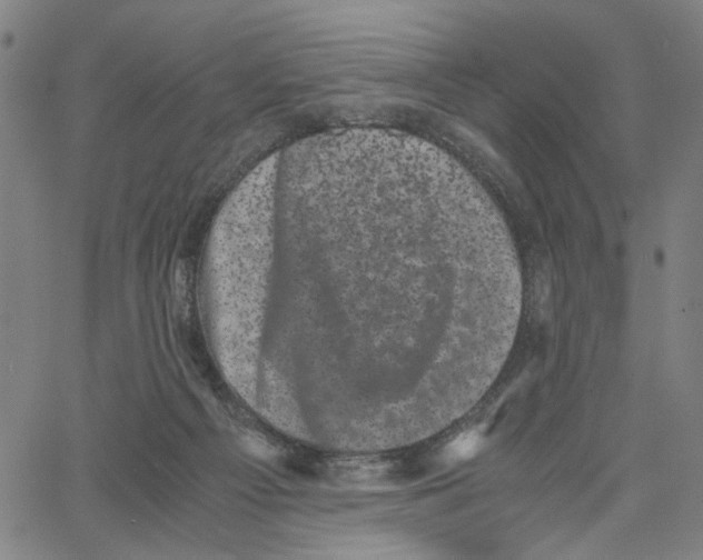 X0000062630121200601181729