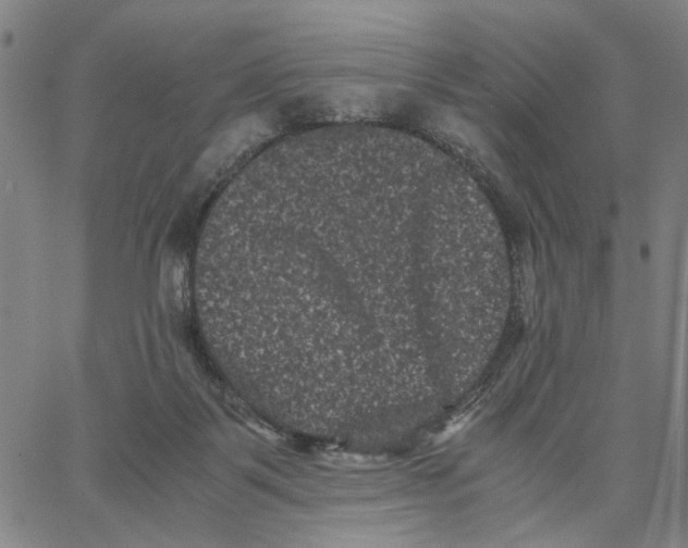 X0000062630123200601181729