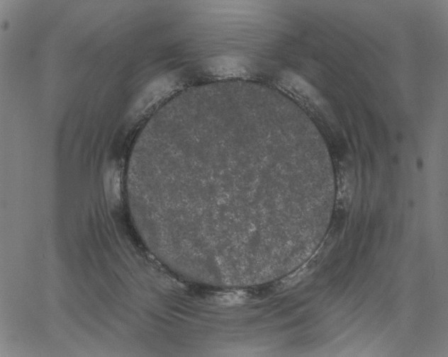 X0000062630124200601181729