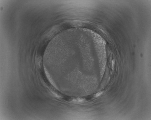 X0000062630125200601181729