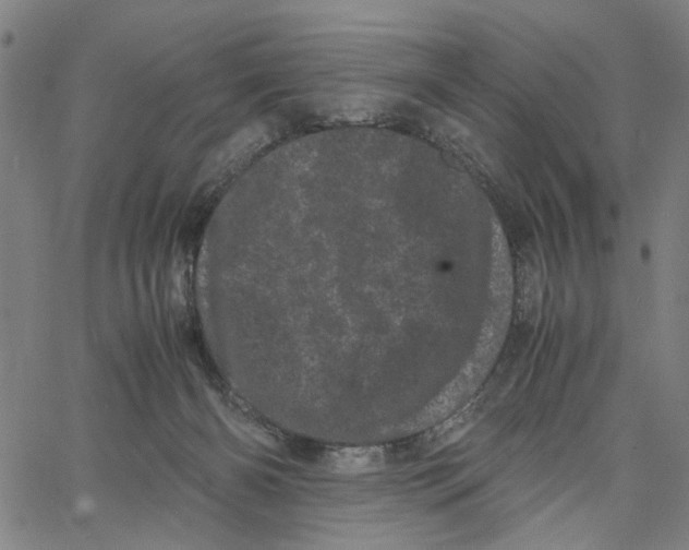 X0000062630126200601181729