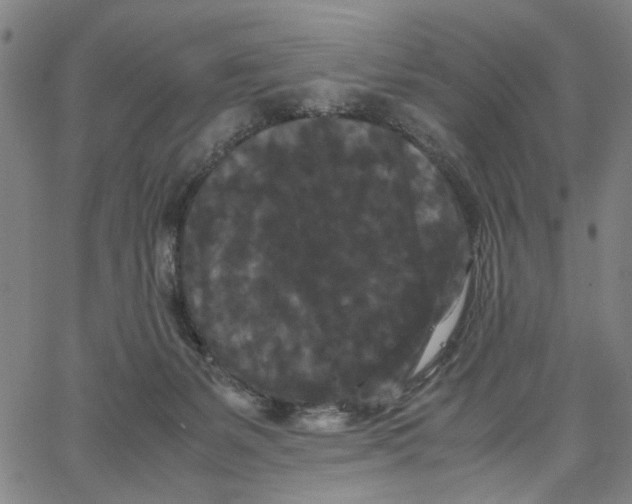 X0000062630127200601181729