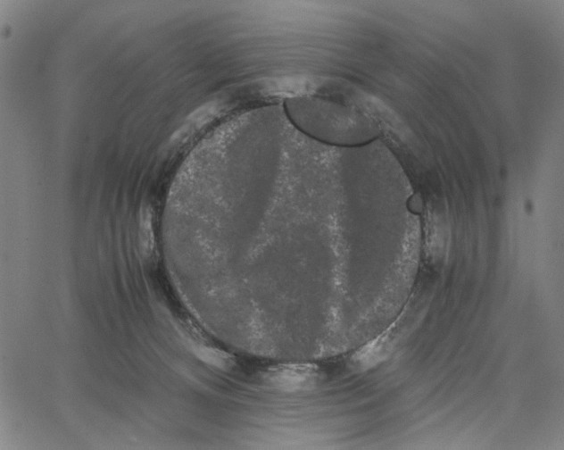 X0000062630128200601181729