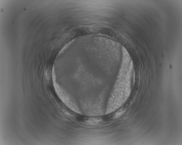 X0000062630129200601181729