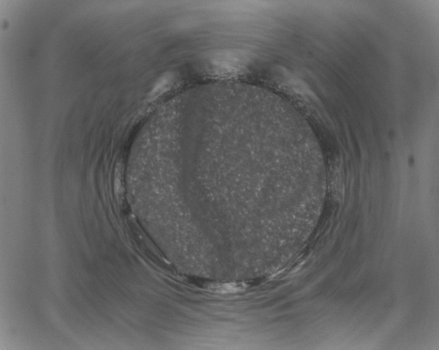 X0000062630131200601181729