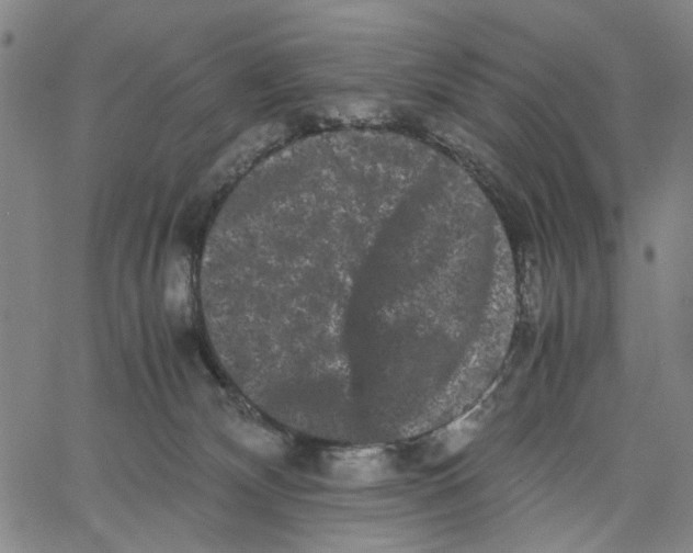 X0000062630132200601181729