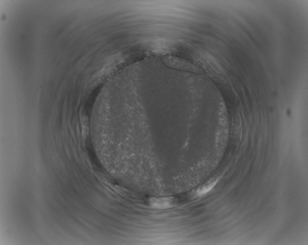 X0000062630135200601181729