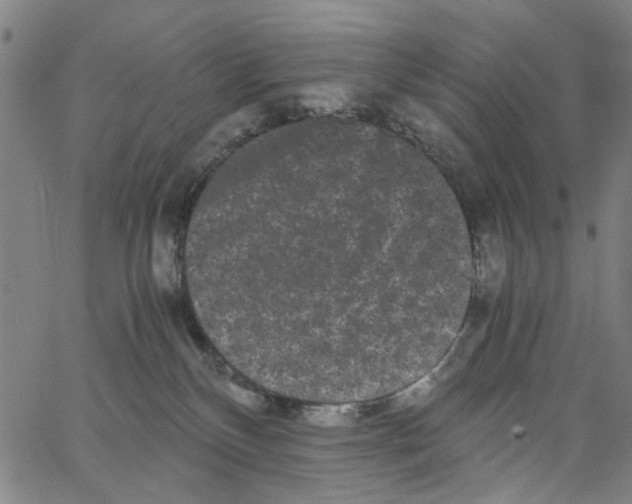 X0000062630136200601181729