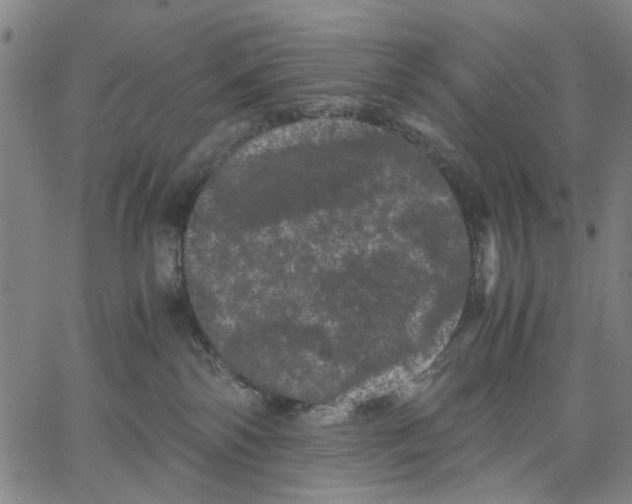 X0000062630138200601181729