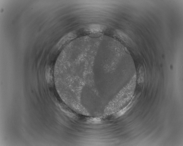 X0000062630140200601181729