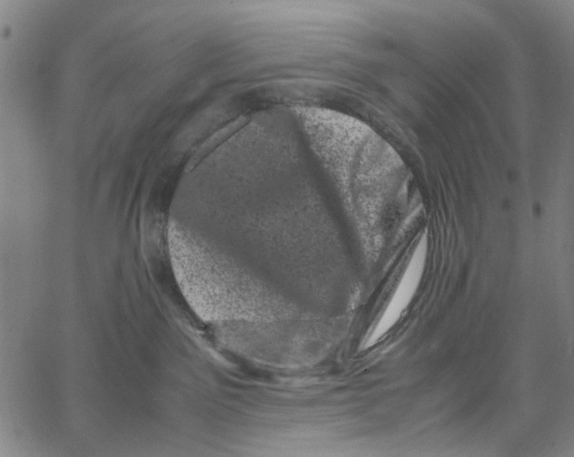 X0000062630141200601181729