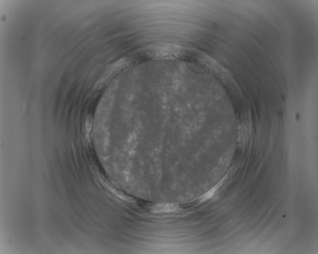 X0000062630142200601181729