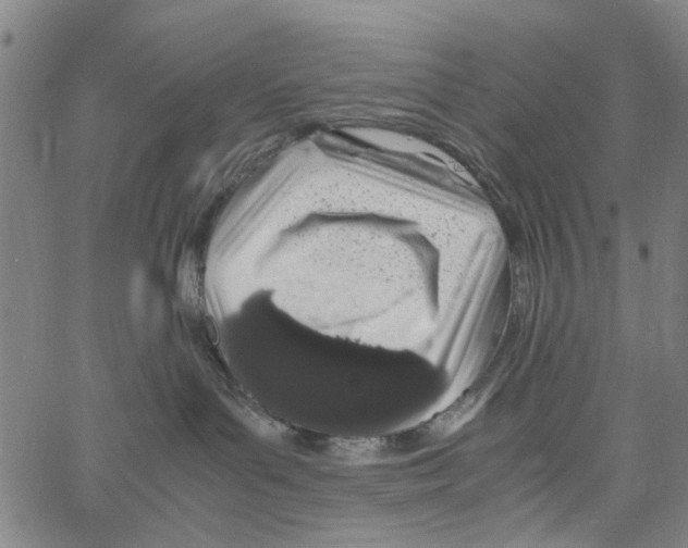 X0000062630143200601181729