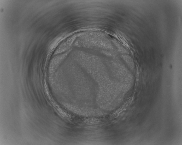 X0000062630145200601181728