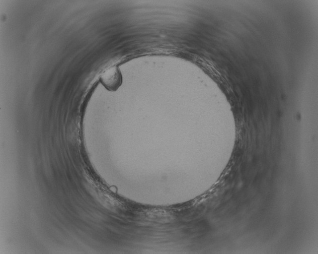 X0000062630146200601181728