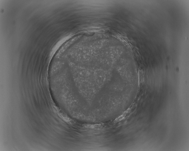 X0000062630147200601181728