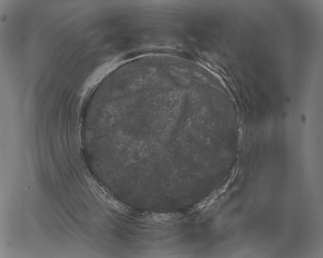 X0000062630149200601181728