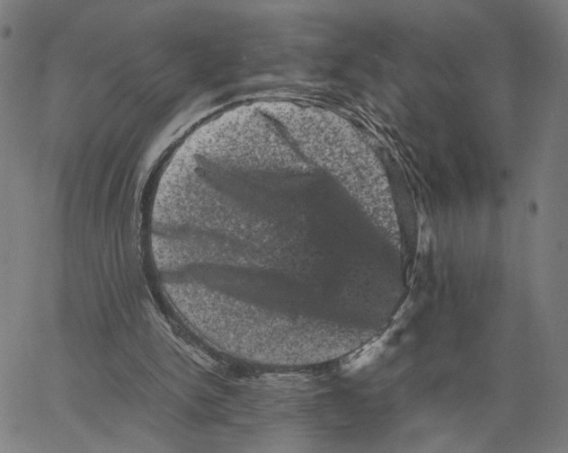 X0000062630150200601181728