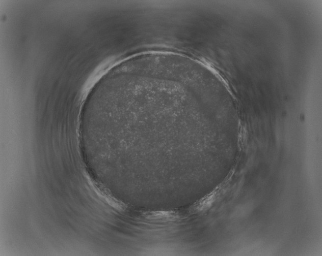 X0000062630151200601181728