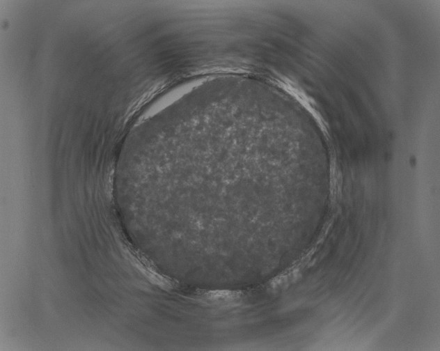 X0000062630153200601181728