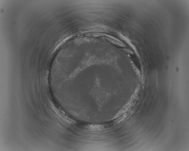 X0000062630154200601181728