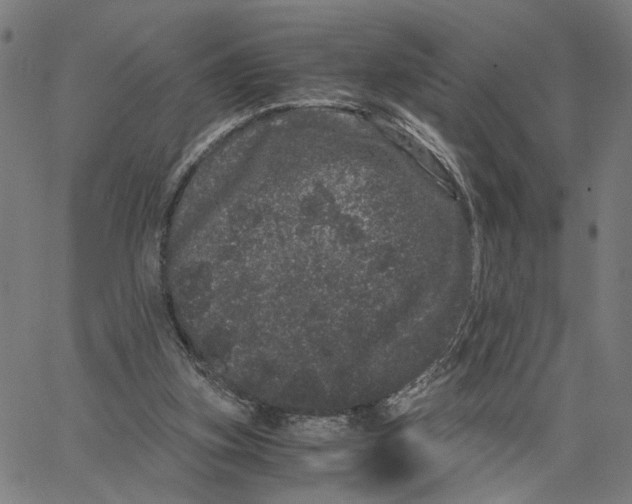 X0000062630155200601181728