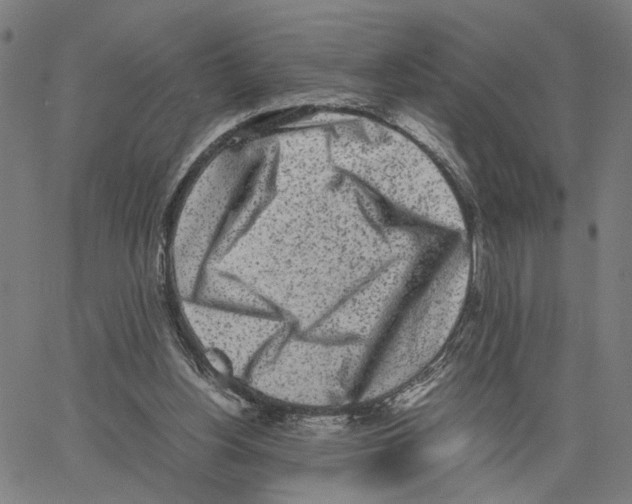 X0000062630156200601181728