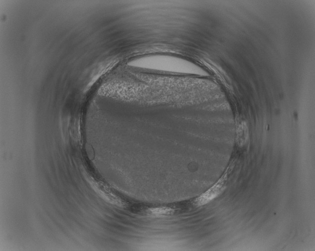 X0000062630158200601181728