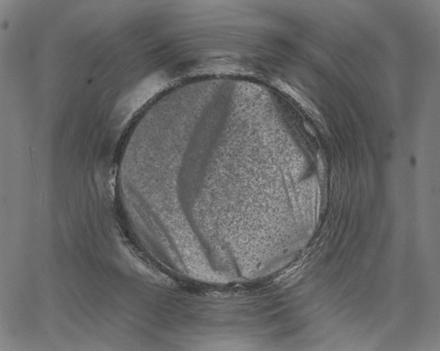 X0000062630160200601181728