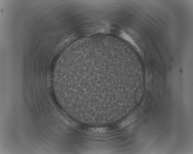 X0000062630161200601181728