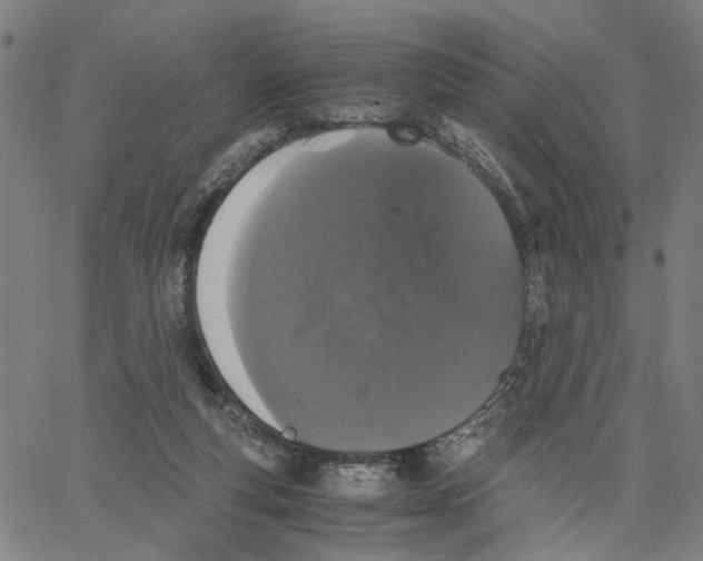 X0000062630163200601181728