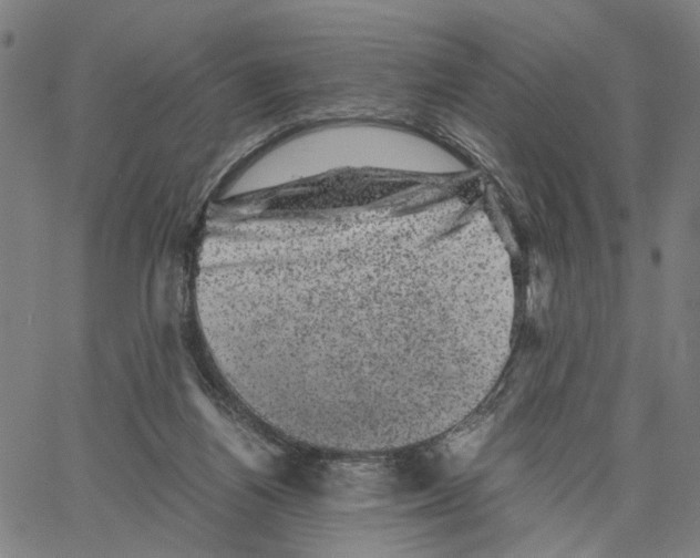 X0000062630164200601181728