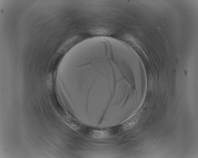 X0000062630167200601181729