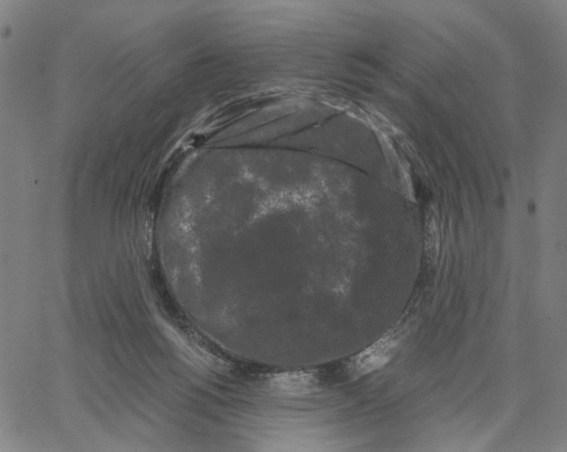 X0000062630168200601181729