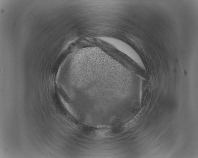 X0000062630172200601181729