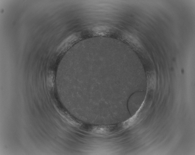 X0000062630174200601181729