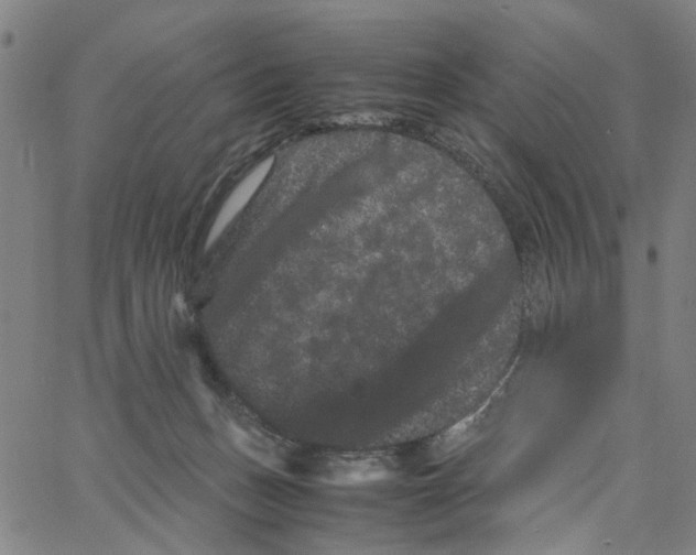 X0000062630175200601181729