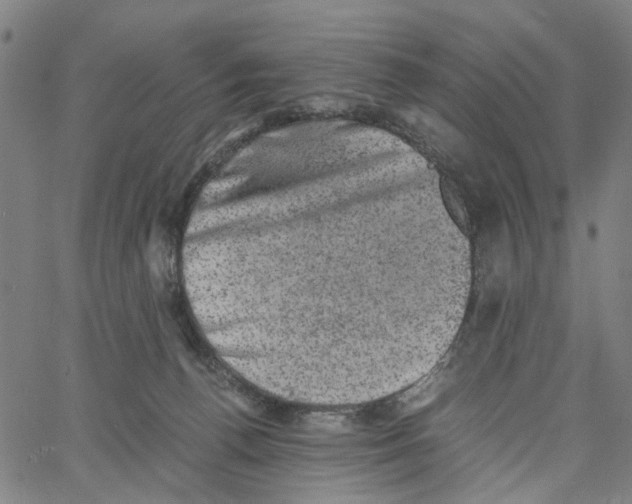 X0000062630176200601181729