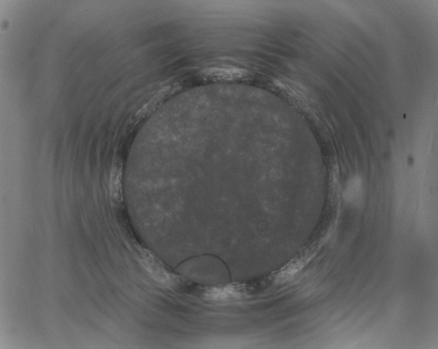 X0000062630177200601181729