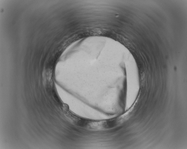 X0000062630178200601181729