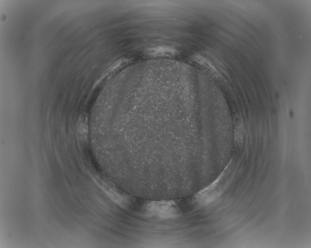 X0000062630179200601181729